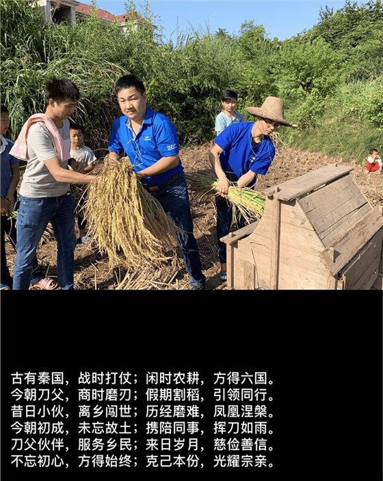 刀父稻谷豐收