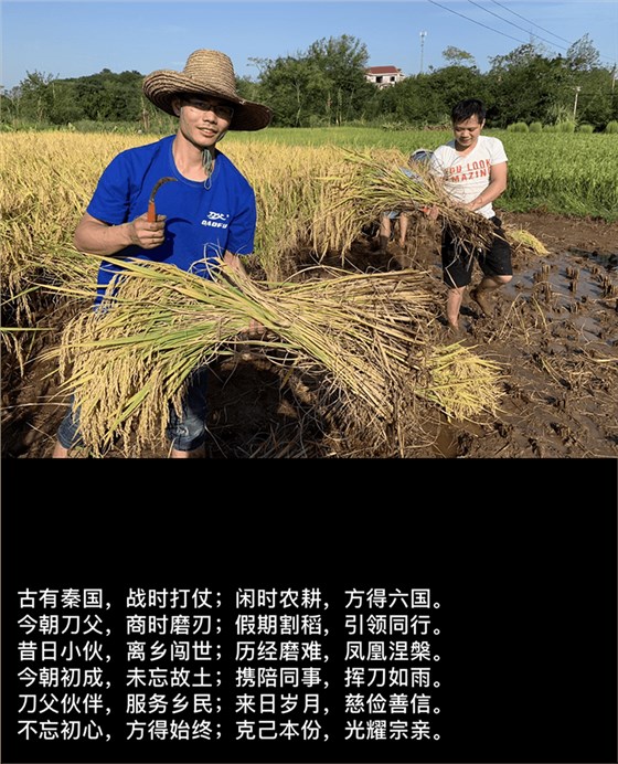 國慶放假期間，刀父助力割稻谷大豐收
