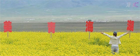 青海旅游 (1)