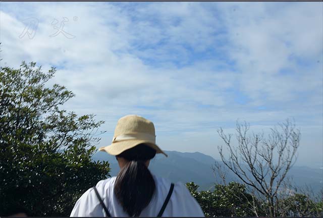 刀父黃金思維