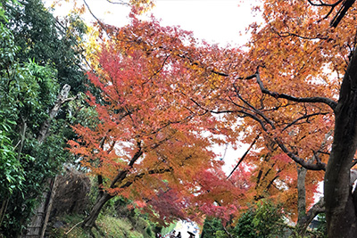 20181010181005_3042